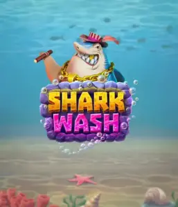 Насладитесь забавным подводным приключением с Shark Wash от Relax Gaming, представляющим светлую графику морских существ, получающих чистку. Примите участие в удовольствию, когда акулы и другие морские животные наслаждаются игривой чисткой, с развлекательные игровые функции вроде бесплатных вращений, вайлдов и специальных бонусов. Отличный выбор для геймеров, кто ищет легкомысленного приключения в играх с новой тематикой.